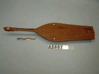 藏品(弦樂器)的圖片